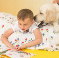 Как севастопольским «особым детям» помогают собаки